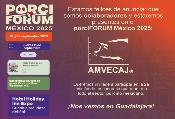 PorciFORUM 205
