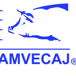 Logo de Website AMVECAJ